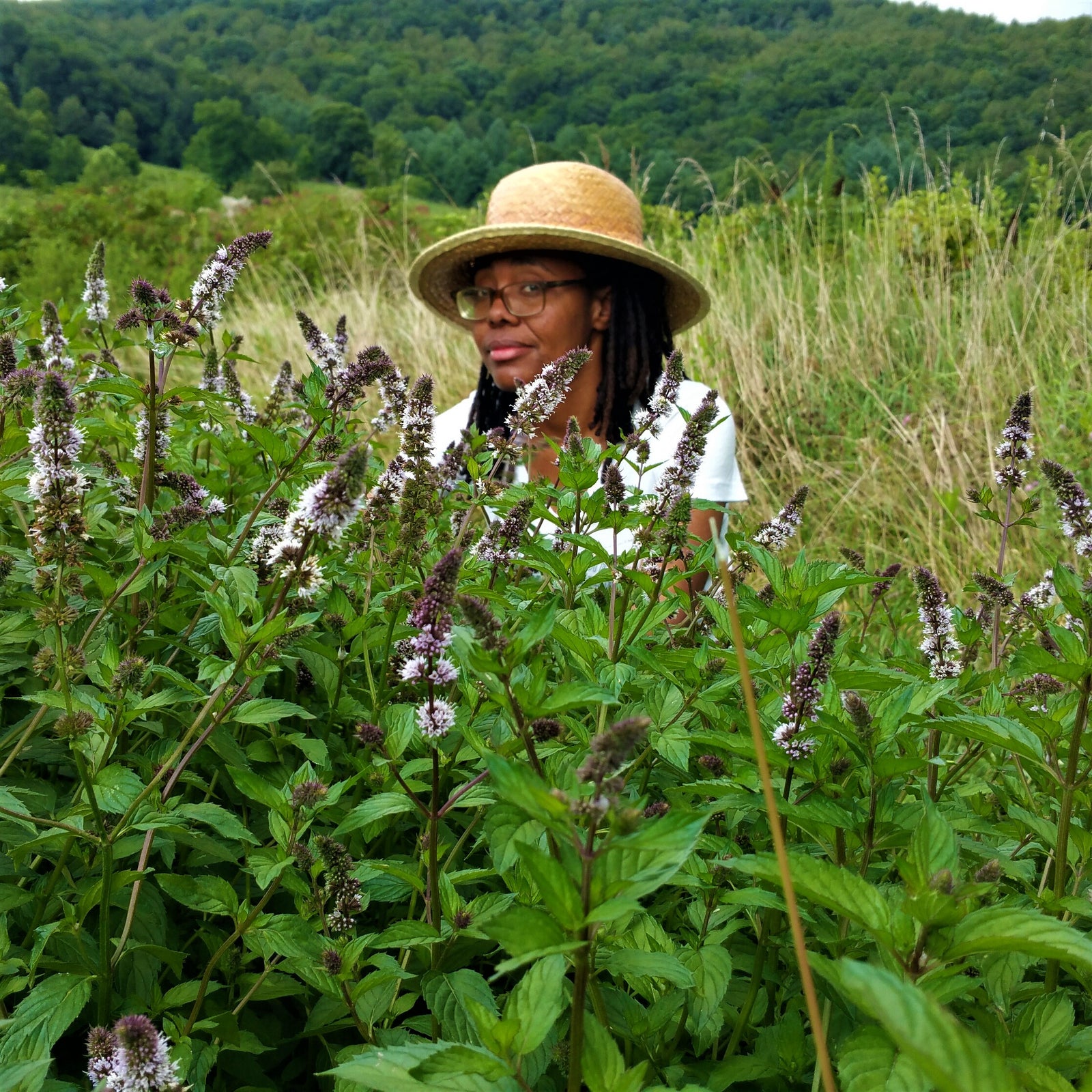 Looking for some flavor