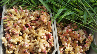 Fresh Ginger